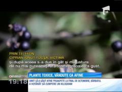 Un constănţean era să se intoxice cu afinele cumpărate din piaţă