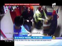 Caz revoltător la Iaşi! Un câine a murit după ce a stat prins sub roata unei maşini timp de două ore