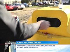 Pubele diferite pentru gunoiul menajer şi la Sibiu