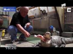 Un animal de companie care dă fiori