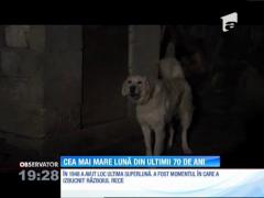 Cea mai mare lună din ultimii 70 de ani