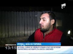 Un pitbull a fost omorât cu un topor într-o localitate din Constanţa