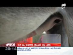 SPECIAL! Cea mai scumpă brânză din lume