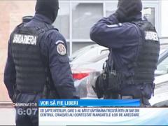 Cei şapte interlopi, care s-au bătut într-un bar din centrul Craiovei, vor să fie liberi