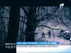 Un băiat de doar 14 ani, din judeţul Botoşani, a murit în timp ce era cu tatăl lui în pădure, după lemne