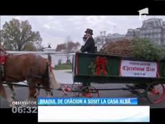 Bradul de Crăciun a sosit la Casa Albă