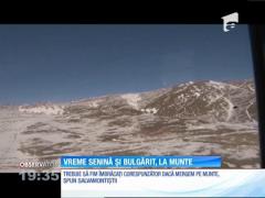 Observator de weekend