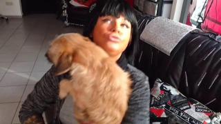 Mai ceva ca Brigitte Bardot! O coafeză belgiană vrea să adopte 30 de câini comunitari din România. Acasă, are deja ŞAPTE