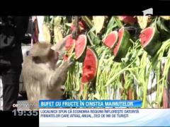 Oraşul maimuţelor: capitala unei provincii thailandeze e locul unde maimuţele au aceleaşi drepturi ca şi oamenii