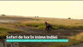 Safari de lux în inima Indiei