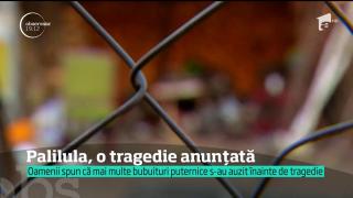 Măcelul de la Palilula a fost unul anunţat