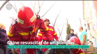 Scene impresionante într-un cartier din Piteşti: Un câine a fost resuscitat de un pompier în urma unui incendiu