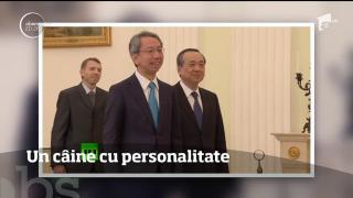 Vladimir Putin are un câine cu personalitate