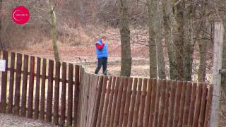 Începe vânătoarea de la Balc. Milionarii Europei vin să ia la ţintă mistreţii lui Ţiriac