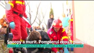 Final trist, după şase zile de luptă pentru viaţă: Snoopy, căţelul resuscitat pompierul-erou Mugurel Costache, a murit