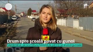 Se duc la şcoală pe un drum pavat cu gunoaie. Este drama unor familii din comuna Glina