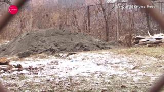 Noi imagini de la locul unde a fost găsită doctorița Orsolya Benedek. Cadavrul medicului din Târgu Mureș a fost acoperit cu NISIP ȘI LEMNE de criminal (VIDEO)