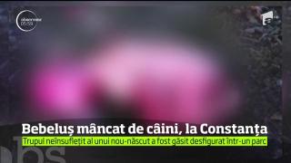 Cadavrul unui nou-născut a fost găsit într-un parc din Constanţa