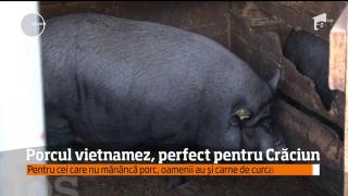 Carne de porc fără colesterol