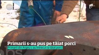Primarii din Argeș s-au întrecut la tăiat porci!