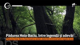 Primul documentar despre Pădurea Hoia-Baciu a fost realizat în Cluj-Napoca
