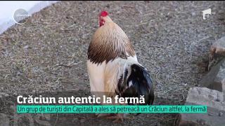 O minivacanţă în linişte: Crăciun autentic la fermă