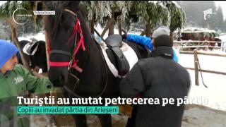 Turiștii din Poiana Brașov au ales plimbările cu sania trasă de cai
