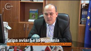 ALERTĂ de gripă aviară în judeţul Tulcea
