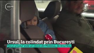 Ursul, la colindă prin Bucureşti