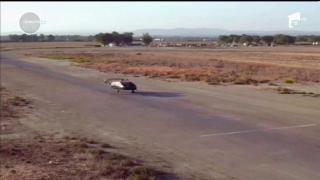 Prima maşină zburătoare a fost construită în Israel