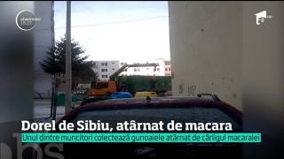 Gunoiul este ridicat cu tot cu gunoier, în Sibiu
