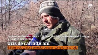 Tragedie în Buzău: Un băiat de doar 13 ani a fost ucis de un cal