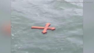 IMAGINILE BOBOTEZEI: Înalt Prea Sfinţitul Teodosie loveşte o lebădă cu crucea, în Portul Tomis. "Omorâţi lebedele", i-a spus un enoriaş (VIDEO)