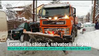 Observator de weekend