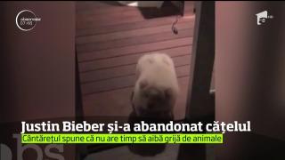 Justin Bieber nu are timp pentru animale de companie, cântăreţul şi-a abandonat cățelul