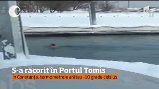 Omul Zăpezilor trăieşte la Constanţa! Asta le-a trecut prin minte mai multor oameni care au văzut un bărbat ce înota în Portul Tomis (VIDEO)