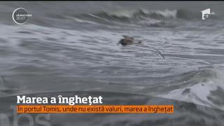 În portul Tomis, marea a înghețat, iar în larg "fierbe"
