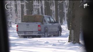 Vănătorii din Prahova dau de mâncare animalelor sălbatice din pădure