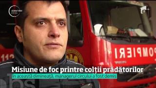 Managerul Circului Globus a fost demis! Petiţia "Punem capăt exploatării animalelor sălbatice în circuri" a strâns în 24 de ore aproape 40 de mii de semnături!