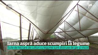 Iarna aspră aduce scumpiri la legume