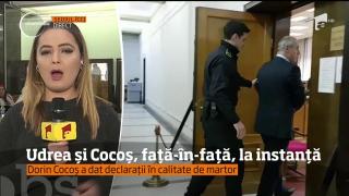 Elena Udrea și Dorin Cocoș față-n-față, la instanță în dosarul Gala Bute (VIDEO)