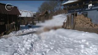 Ursul, specie protejată de lege. În mediul online apar anunțuri despre organizare a unor partide de vânătoare