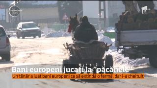 Bani europeni jucați la "păcănele". Un tânăr a luat bani europeni ca să extindă o fermă, dar i-a cheltuit