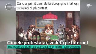 Protestul din Piaţa Universităţii a umplut cu glume siteurile de socializare