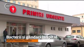 Bacterii și gândaci în spitalul de Pediatrie Pitești. Conducerea contestă rezultatul controalelor