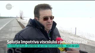 Perdelele forestiere, soluţia care ne-ar ţine drumurile deschise chiar şi pe viscol de cod portocaliu