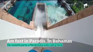 Vacanţă în Bahamas. Raiul vieţuitoarelor marine