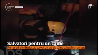Pompierii din Buziaș au salvat un pui de câine căzut într-un puț