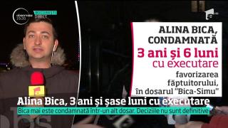 Alina Bica, condamnată la trei ani ani de închisoare cu executare
