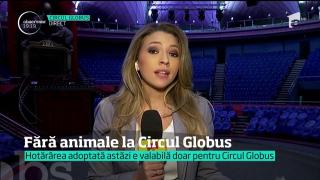 Este OFICIAL! Circul Globus rămâne fără animale în program
